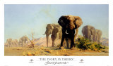 The Ivory Is Theirs