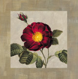 Timeless I