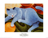 Cats and Pots