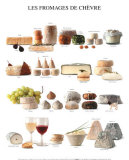 Buy Goat Cheeses at AllPosters.com