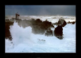 Buy Wind Storm at AllPosters.com