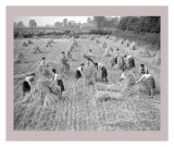 Women at War: On the Land