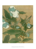 Magnolia and Praying Mantis