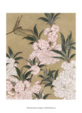 Cherry Blossoms and Dragonfly