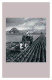 Women at War: On the Land