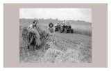 Women at War: On the Land