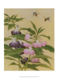 Bees and Garden Blossoms