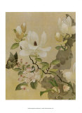 Magnolia and Butterfly