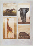Buy Animals of Africa at AllPosters.com