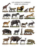 African Animals