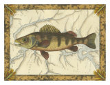 Yellow Perch on Map