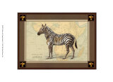 Zebra with Border I