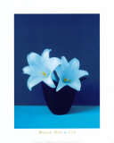 Lilies