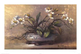 Buy Orchid Elegance at AllPosters.com