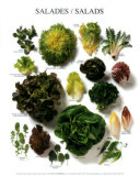 Buy Salads at AllPosters.com