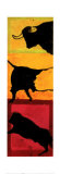 Toros