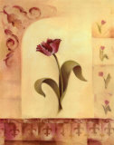 Perfect Tulip