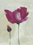 Peonies