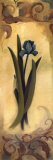 Patina Blue I
