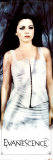 Evanescence (Amy Lee) Door Poster