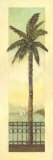 Cayman Palm II
