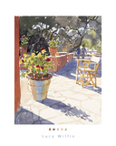 Geraniums and New Chairs