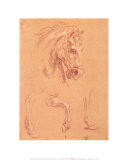 Buy Horse Head at AllPosters.com