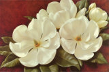 Magnolia Crimson II