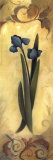Buy Patina Blue II at AllPosters.com
