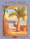 Buy Bottle Palm at AllPosters.com