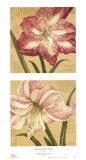 Buy Blooming Wonder Petites at AllPosters.com