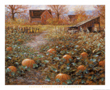 Harvest Memory