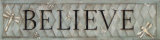 Buy Believe at AllPosters.com