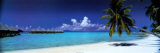 Buy Palm Island Retreat at AllPosters.com