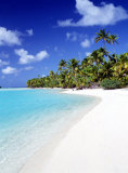 Palm Hideaway
