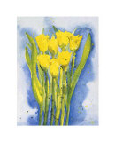 Yellow Tulips