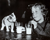 Milk Buddies