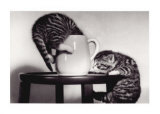 Cat Coffee Cup Twins