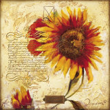 Buy The Sun at AllPosters.com