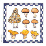 Buy Mushrooms at AllPosters.com