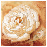 Buy Good Year for the Rose at AllPosters.com