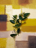 Buy Timeless colours II at AllPosters.com