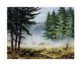 Buy Morning in mist at AllPosters.com
