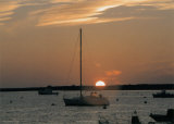 Sunset Cruise