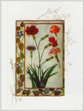 Buy Botanics of 17th Century II at AllPosters.com