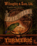 Buy Turmeric at AllPosters.com