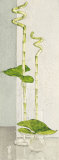 Buy Sign of Life at AllPosters.com