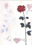 Buy Rose at AllPosters.com