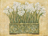 Buy White Narcissus at AllPosters.com