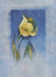 Buy Yellow Tulip at AllPosters.com